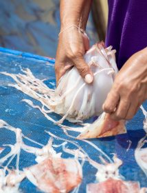 Men are collecting sun-dried squids.