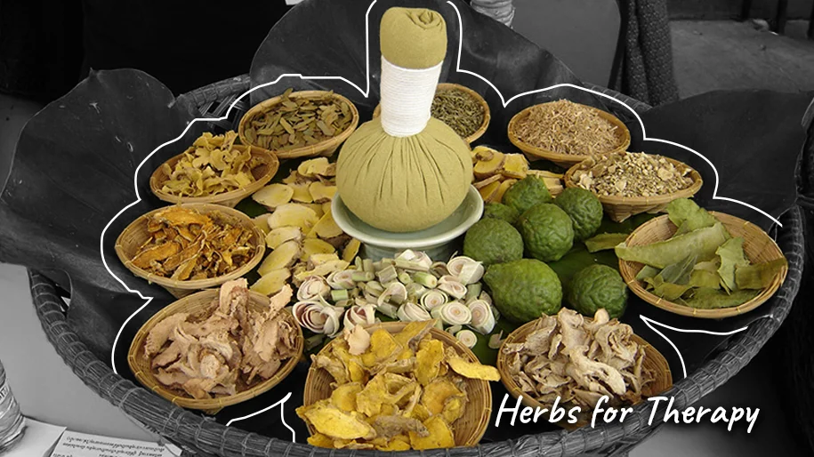 Herbal Steam Therapy