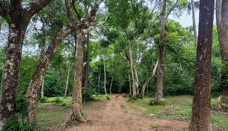 Khao Yai National Park, Nakhon Ratchasima