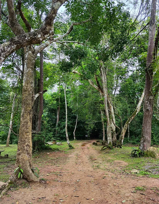 Khao Yai National Park