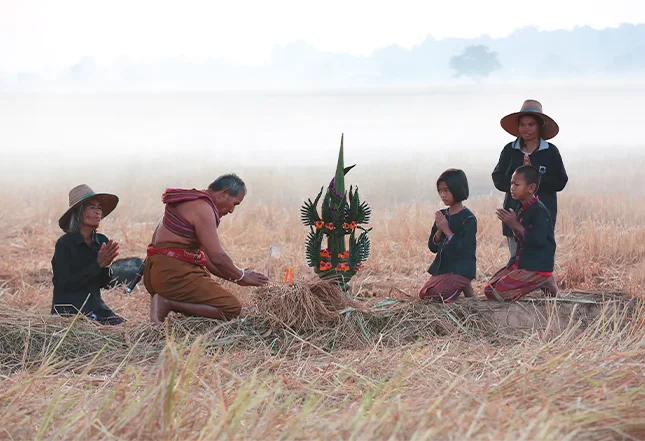 Thai farming_02