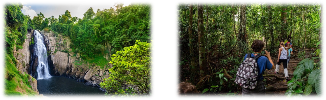 DAY 2: Trekking nature trails - Haew Narok Waterfall (B/L/D)